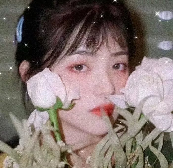 异轨姝途