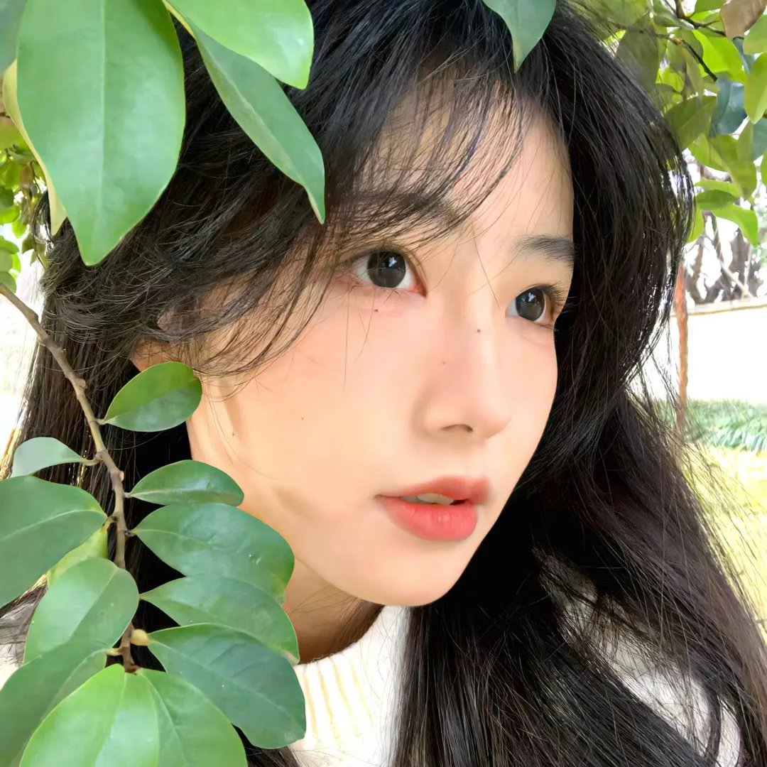 雁南飞